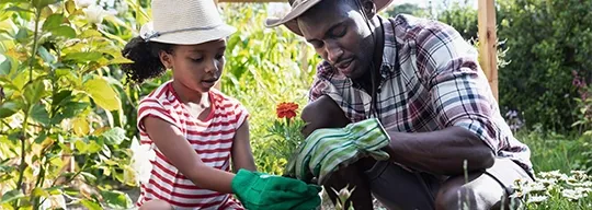 一位父亲戴着绿色的园艺手套，帮女儿种花.